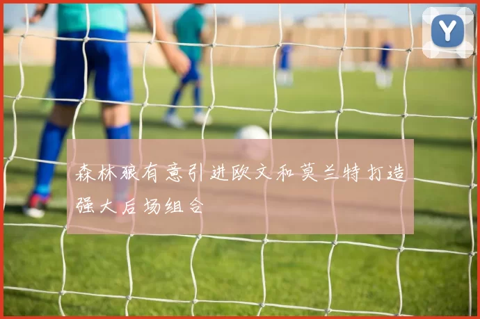 森林狼有意引进欧文和莫兰特打造强大后场组合